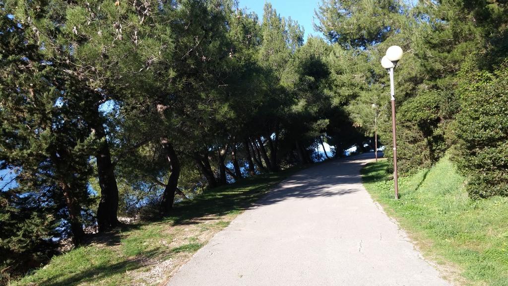 Apartment Karma Zadar Dış mekan fotoğraf